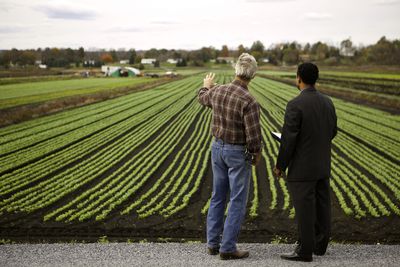 How Do I Start My Own Agricultural Business