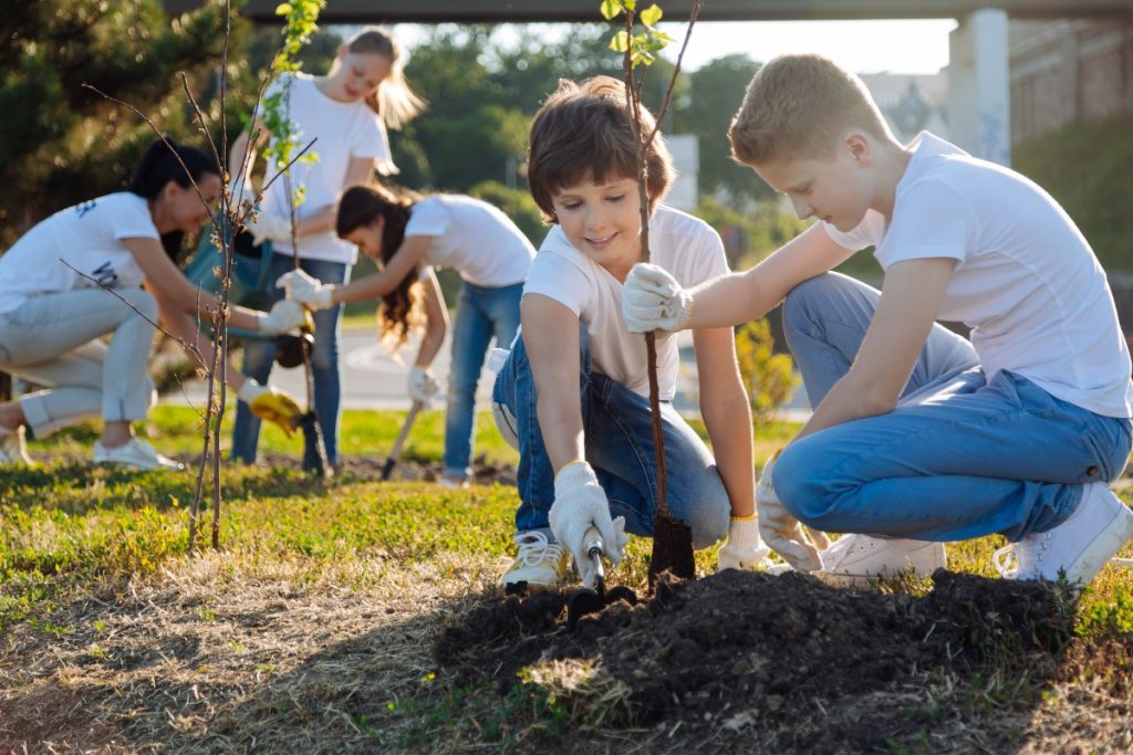 Environmental Organizations in Canada