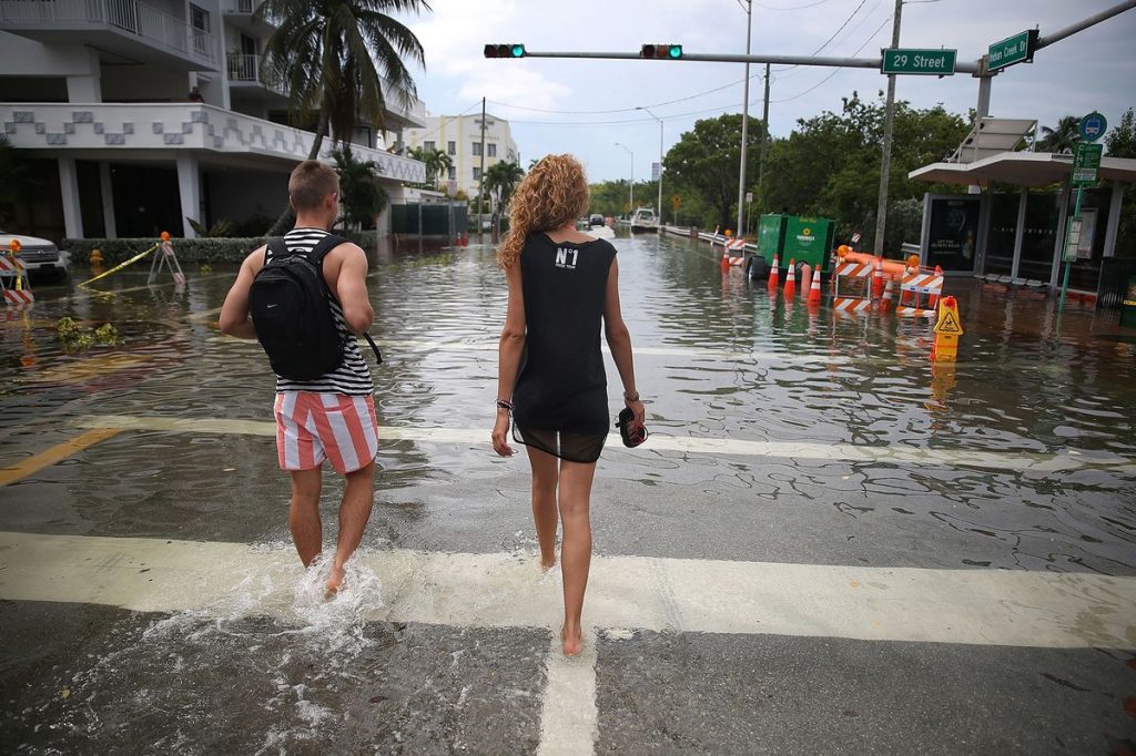 Effects of Rising Sea Levels on the Environment