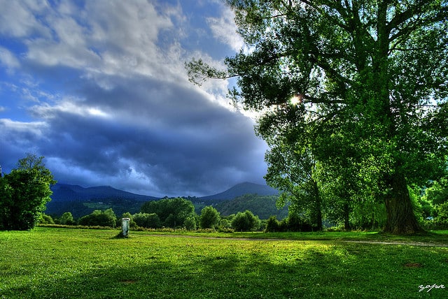 Environmental Issues in North Carolina