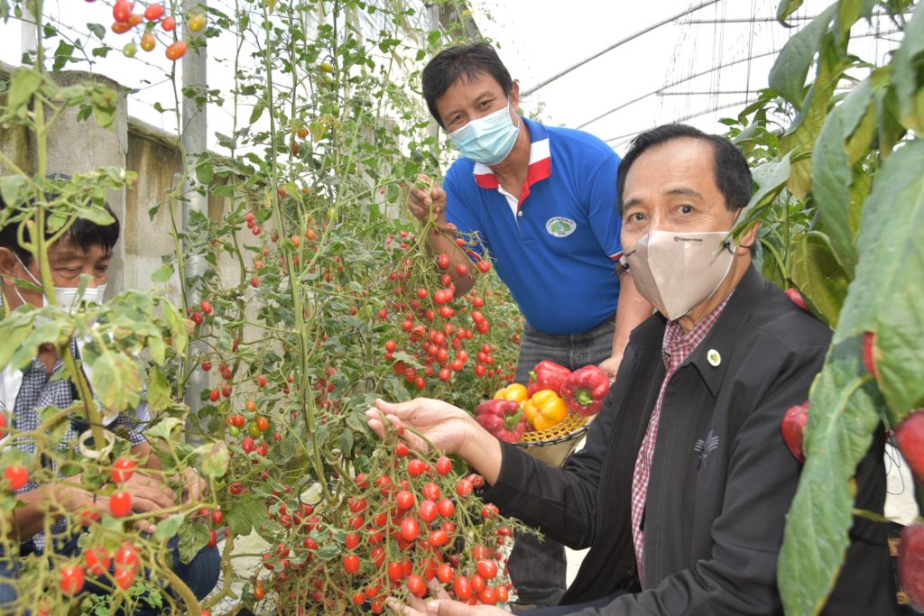 Roles of Science and Technology in Agriculture