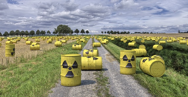 Effects of Nuclear Waste On The Environment