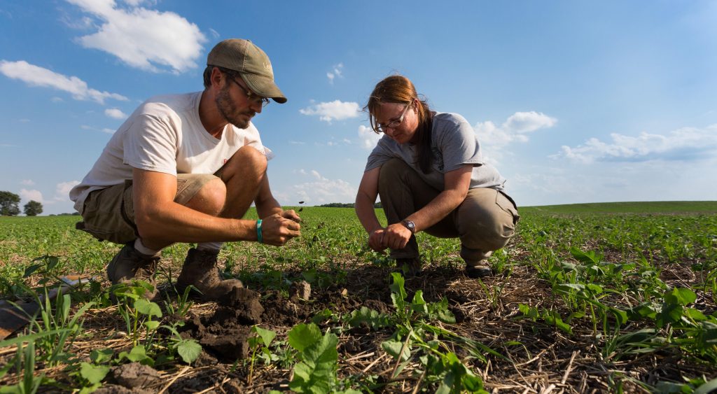 Crops Grown in Canada